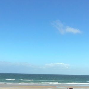 Meet your Posher, Renard